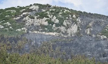 Manisa Saruhanlı'da orman yangını! Havadan ve karadan müdahale ediliyor #manisa
