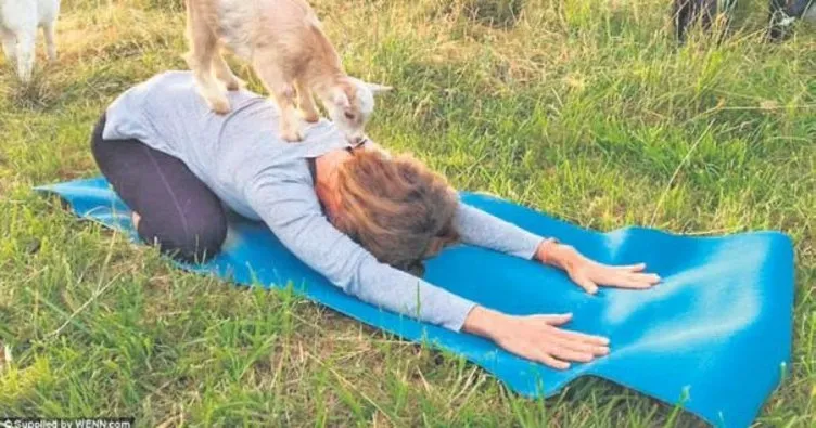 Yeni trend keçi yogası