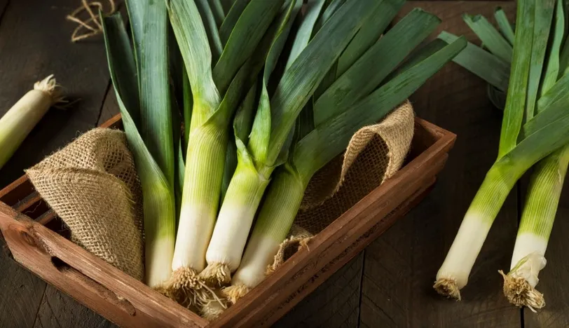 Pırasa deyip geçmeyin!