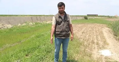 77 küçükbaş zehirlenerek telef oldu #adana
