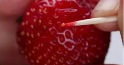 Tohum olmadan böyle yetiştirdi! Sonuç şaşırttı