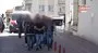 100 milyon TL’lik vurgunda gözaltı sayısı 6’ya yükseldi | Video