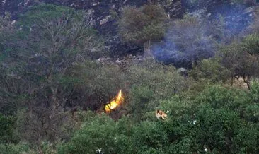 Kayseri’de akreplerin islahı için yakılan anız az daha ormanı yakıyordu