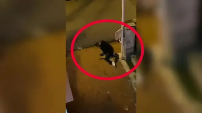 Sokak köpeğini yere yatırarak boğmaya çalıştı! O görüntüler kan dondurdu | Video