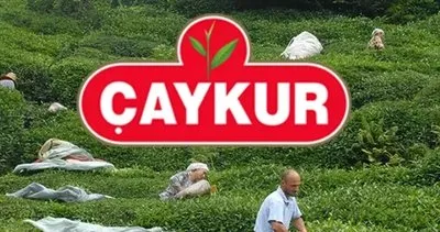 ÇAYKUR 1500 İŞÇİ ALIMI YAPACAK! Çaykur işçi alımı başvuruları ne zaman, nereden ve nasıl başvurulur, şartları neler?