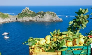 Limon kokusunun izinde...