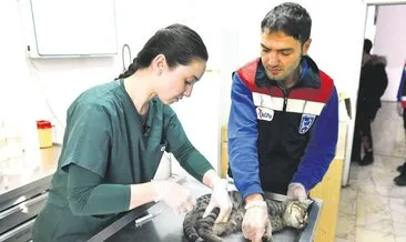 Hayvanlar için ilk yardım eğitimi