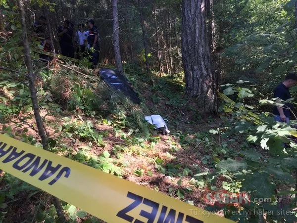 Zonguldak'ta ayı saldırısına uğrayan kişi öldü