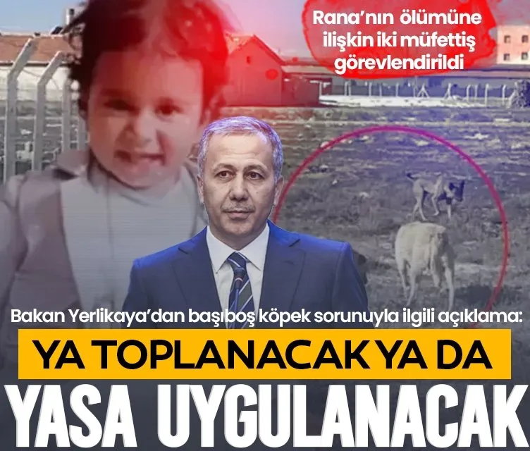 Bakan Yerlikaya’dan başıboş köpek sorunuyla ilgili açıklama! Rana’nın ölümüne ilişkin iki müfettiş görevlendirildi