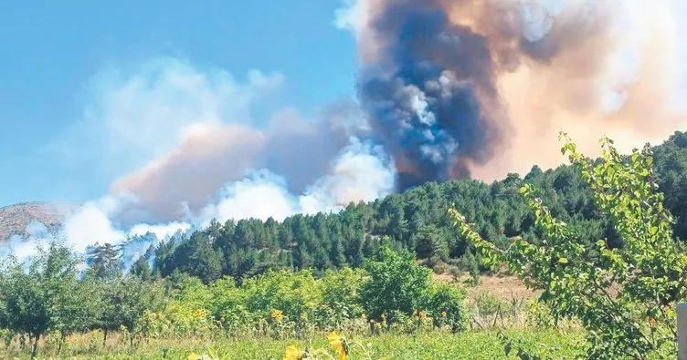 Kameriye sevdası ormanı kül etti