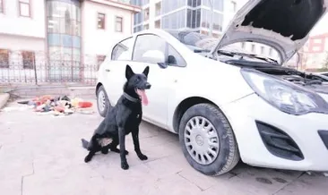 Keçiören’de firari operasyonu