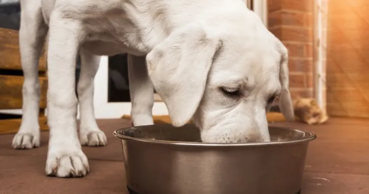 Uzmanlar uyarıyor! Mamalarda paket yerine içeriğine bakın