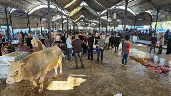 sanliurfada-bayramin-ilk-gununde-232-acemi-kasap-hastanelik-oldu-1779870347202.jpg