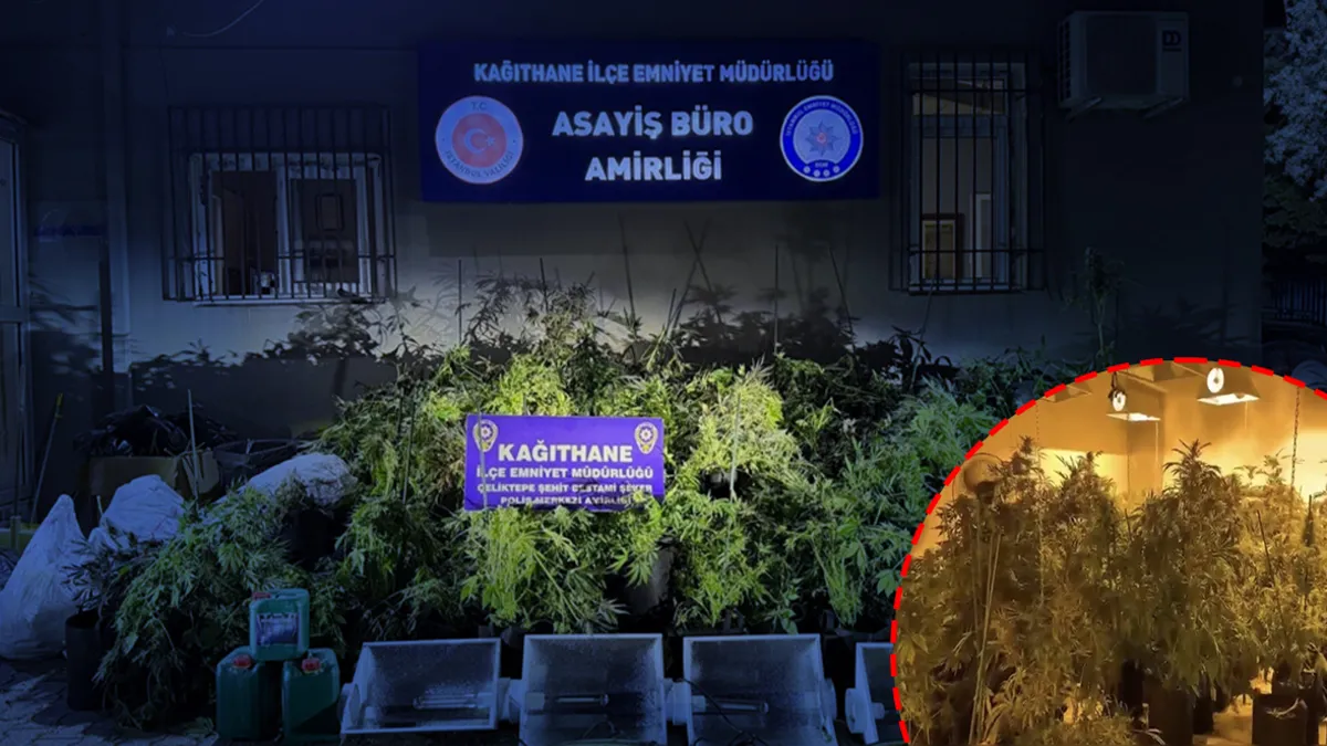 Kağıthane’de operasyon! Koku gelen eve baskın: Dev uyuşturucu serası ele geçirildi Kağıthane’de operasyon! Koku gelen eve baskın: Dev uyuşturucu serası ele geçirildi