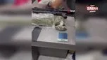 Ümraniye’de uyuşturucu ticareti yapılan oto galeriye baskın: 1 kişi yakalandı | Video