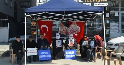 Muşlu aileler, DEM Parti önündeki evlat nöbetini sürdürdü #mus