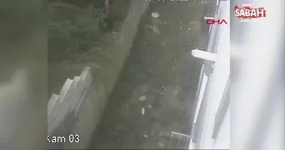 Kağıthane’de açık pencere hırsızı binaya böyle tırmandı | Video