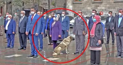 Son dakika! Isparta’da muhtarların saygı duruşuna eşlik eden sokak köpeği gülümsetti | Video