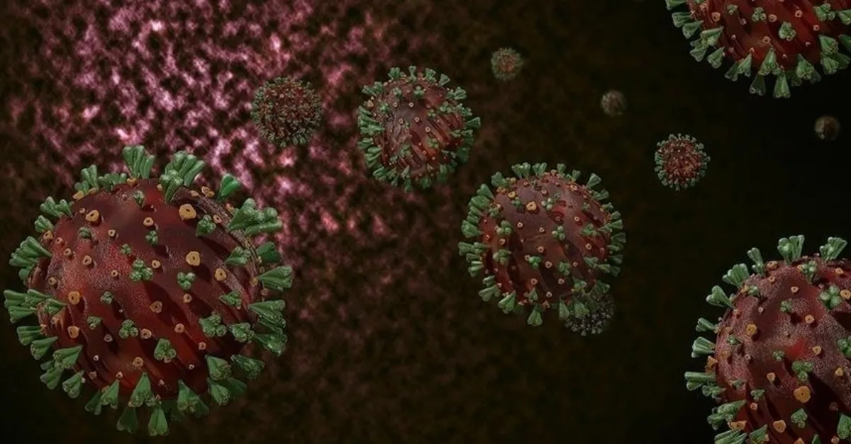 ABD’de virüs paniği! ‘Lassa ateşi’ can aldı