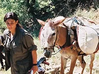 PKK'nın isteyeceği en son şey