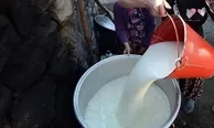 Toplanan inek sütü miktarı %6,5 arttı