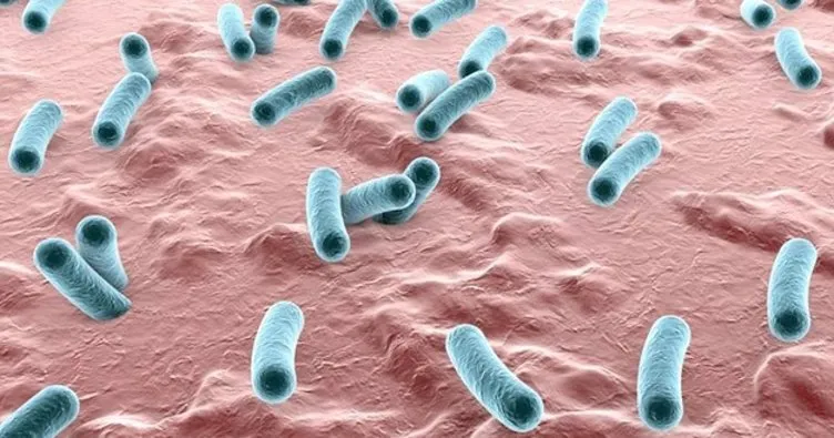 dizanteri nedir belirtileri nelerdir