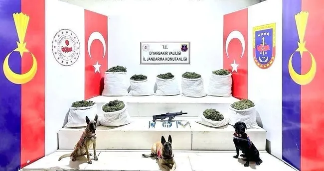 Diyarbakır’da 364 kilo 500 gram esrar, 150 bin kök skunk ele geçirildi Diyarbakır’da 364 kilo 500 gram esrar, 150 bin kök skunk ele geçirildi