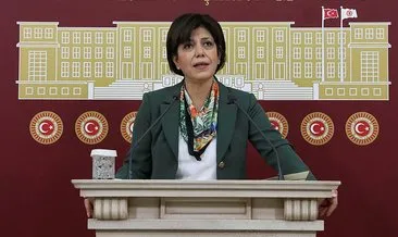 HDP’li Beştaş’tan FETÖ skandalı! Terör örgütü yerine ’cemaat’ dedi