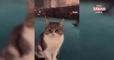 Ayasofya’da kedi sevdiği video ile viral olan Ahmet amca ortaya çıktı
