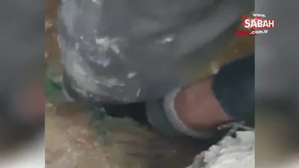 İzmir'de yer altına gömülü boruda sıkışan kedinin kurtarılma anı kamerada | Video
