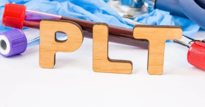 plt yuksekligi nedir neden olur plt yuksekligi hangi hastaligin belirtisidir saglik haberleri