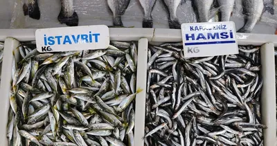 Uzmanlar Nisan ayı için uyarıyor! Ne hamsi kalacak ne de istavrit...