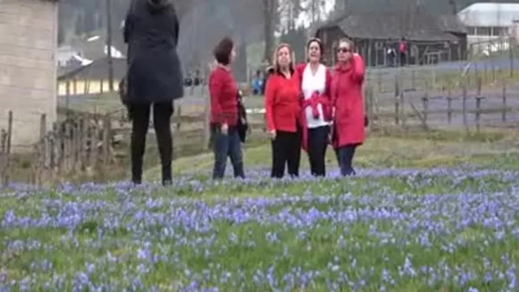 Mor yayla'ya ziyaretçi akını