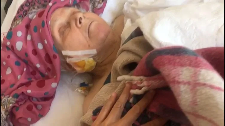 Tasmasız pitbull yaşlı kadına kabusu yaşattı: Köpek annemi resmen yedi!