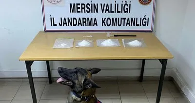 Tarsus’ta Jandarma’dan uyuşturucu operasyonu