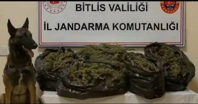 Bitlis’te 10 kilogram uyuşturucu madde ele geçirildi