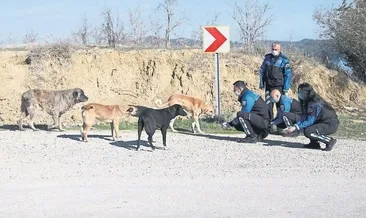 Polis can dostları yalnız bırakmadı