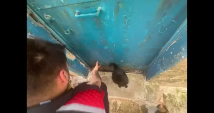 Mardin’de kedi kurtarma operasyonu: Ev sahibi 5 saatte ikna edildi!