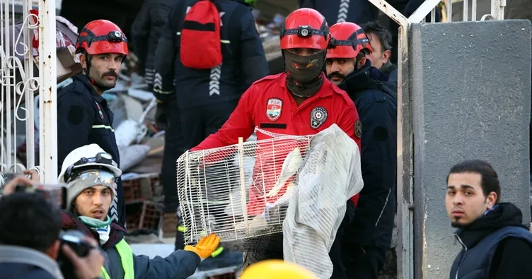 Beyaz papağan 60 saat sonra kurtarıldı