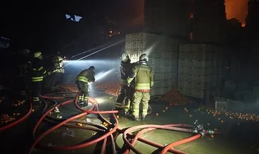 Paketleme fabrikasında yangın: 1 ölü