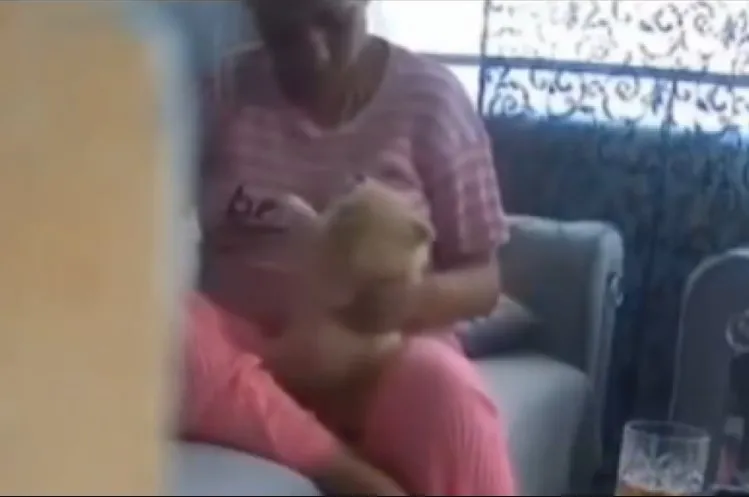 Eski sevgili görüntüleri izlediğinde şoka girdi: 4 köpeğe kan donduran işkence!