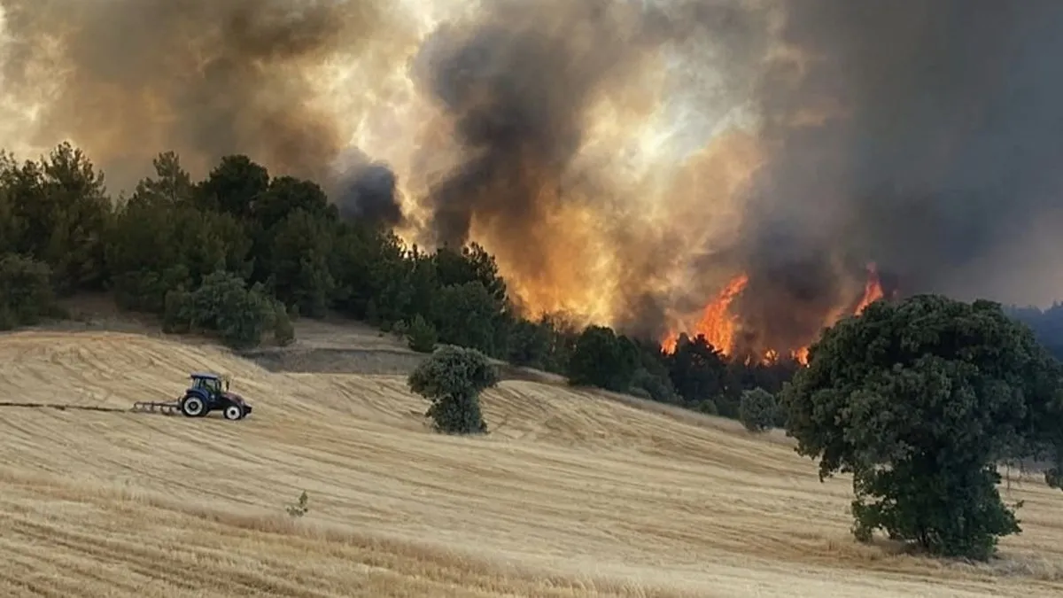 Uşak’ta orman yangınlarına ilişkin 2 gözaltı Uşak’ta orman yangınlarına ilişkin 2 gözaltı