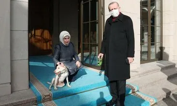 Emine Erdoğan, Cumhurbaşkanı Erdoğan’ı Leblebi ile birlikte uğurladı