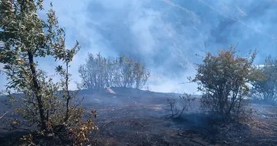 Bitlis’te iki köy arasında orman yangını #bitlis