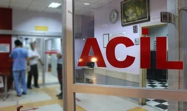 Ot biçme yüzünden 3 kuzen öldürüldü