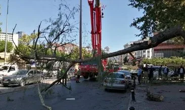 İstanbul’da şiddetli fırtına ağaçları devirdi İstanbul’da şiddetli fırtına ağaçları devirdi