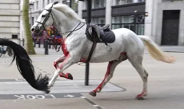 Londra sokaklarında kanlı at krizi! Süvari atlarına ne oldu? Yaralılar var…