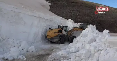 Muş’ta mayıs ayında 5 metrelik karla mücadele | Video