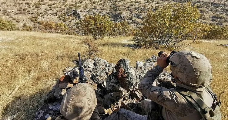 Terör örgütü PKK’ya şafak operasyonu!