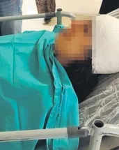 Sokak köpekleri dehşet saçtı